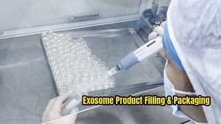 Chengdu, China: Laboratory Procedures for Stem Cell Culture & Exosome Purification