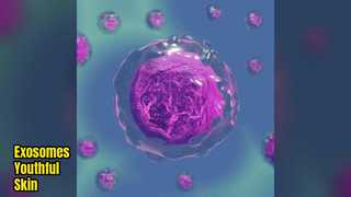Exosome Anti Aging Cosmetic Raw Material