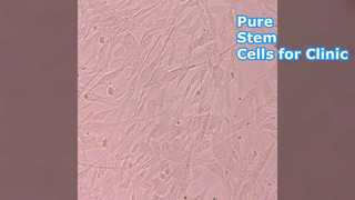 Xinmixue Stem Cells High Purity Lab Clinic