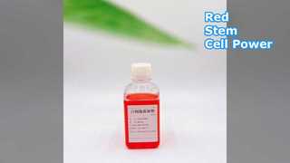 Red Stem Cell Cosmetic Raw Material